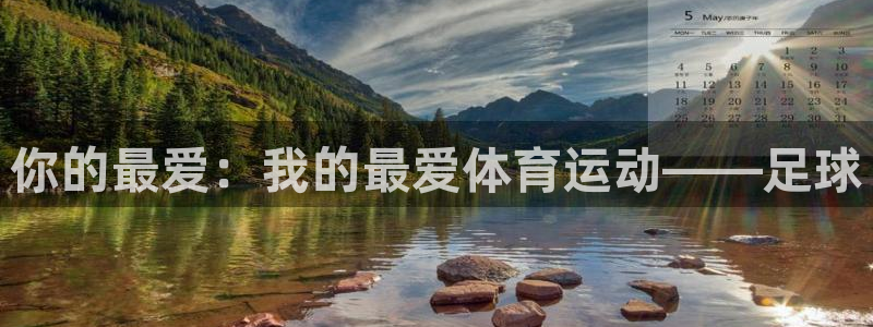 球宴体育-足球直播：你的最爱：我的最爱体育运动——足球