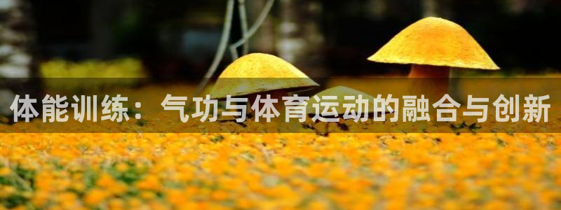 球宴体育下载app：体能训练：气功与体育运动的融合与创新