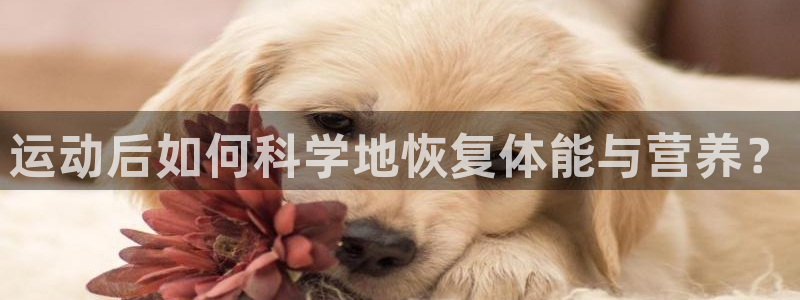 球宴体育app官方下载：运动后如何科学地恢复体能与营养？