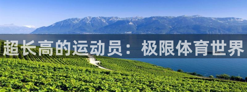 球宴体育app：超长高的运动员：极限体育世界