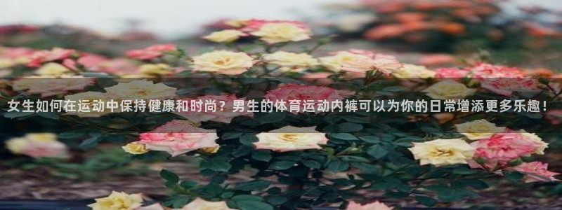 球宴体育下载app：女生如何在运动中保持健康和时尚？男生的体育运动内裤可以为你的日常增添更多乐趣！