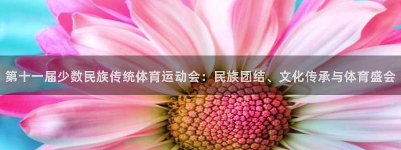 球宴体育APP下载：第十一届少数民族传统体育运动会：民族团结、文化传承与体育盛会