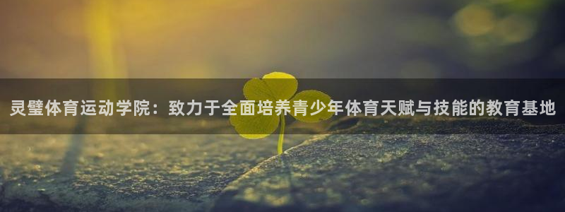 球宴体育-足球直播：灵璧体育运动学院：致力于全面培养青少年体育天赋与技能的教育基地