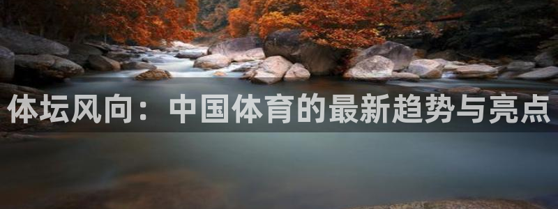 球宴体育比分：体坛风向：中国体育的最新趋势与亮点