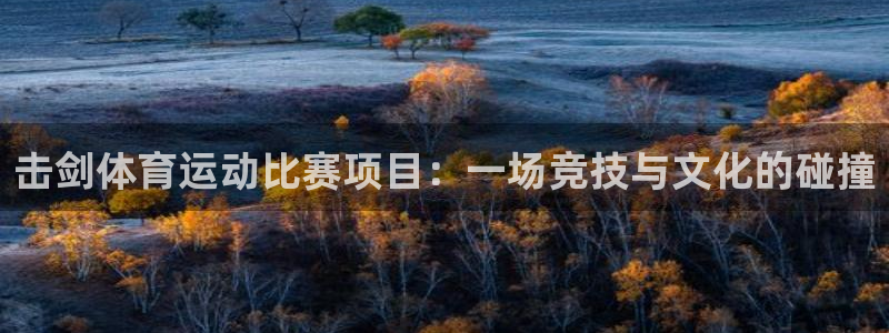 球宴体育app下载官网：击剑体育运动比赛项目：一场竞技与文化的碰撞