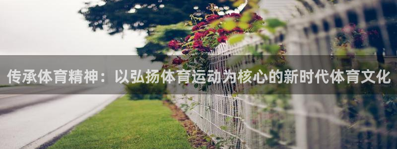 球宴体育app官方下载安卓：传承体育精神：以弘扬体育运动为核心的新时代体育文化