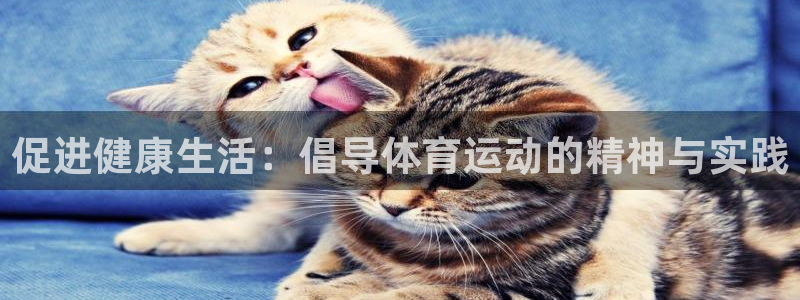 球宴体育比分：促进健康生活：倡导体育运动的精神与实践