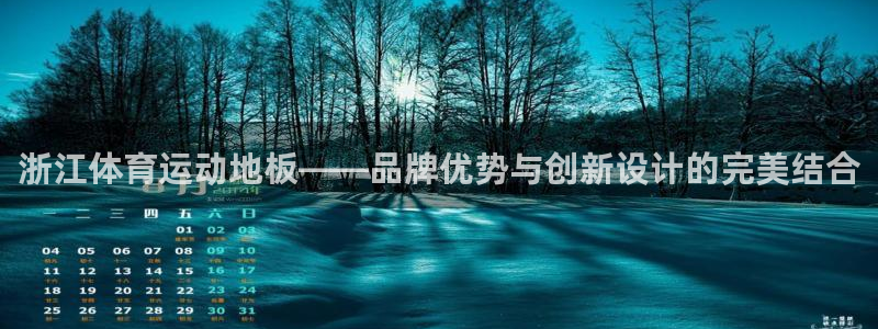 球宴体育免费下载安装：浙江体育运动地板——品牌优势与创新设计的完美结合